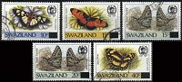 swaziland578-82_1.jpg